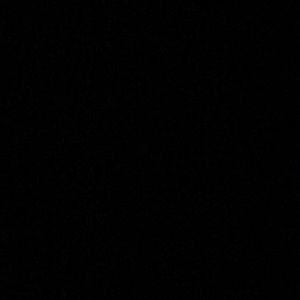 Meet your Posher, Randall